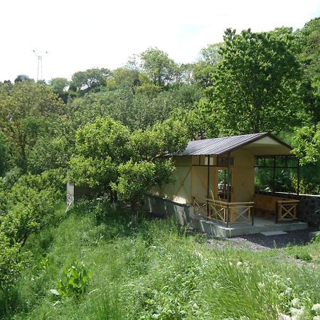 The River House YeghegisYekhegis エクステリア 写真
